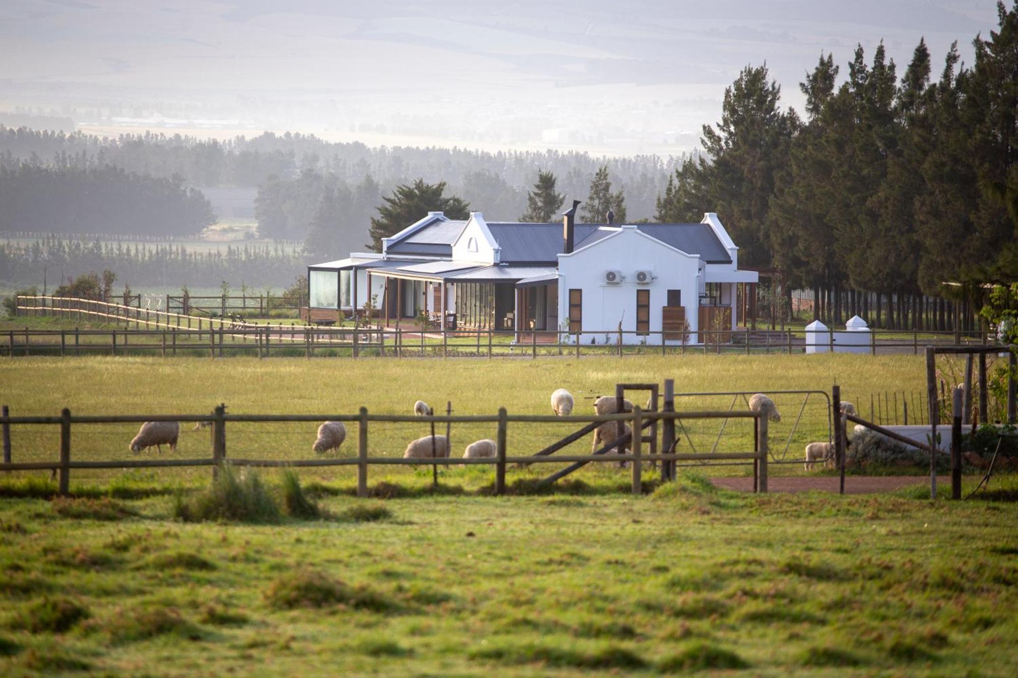 Raptor Rise Tulbagh Εξωτερικό φωτογραφία